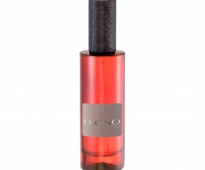 Спрей LEGNO 100 мл